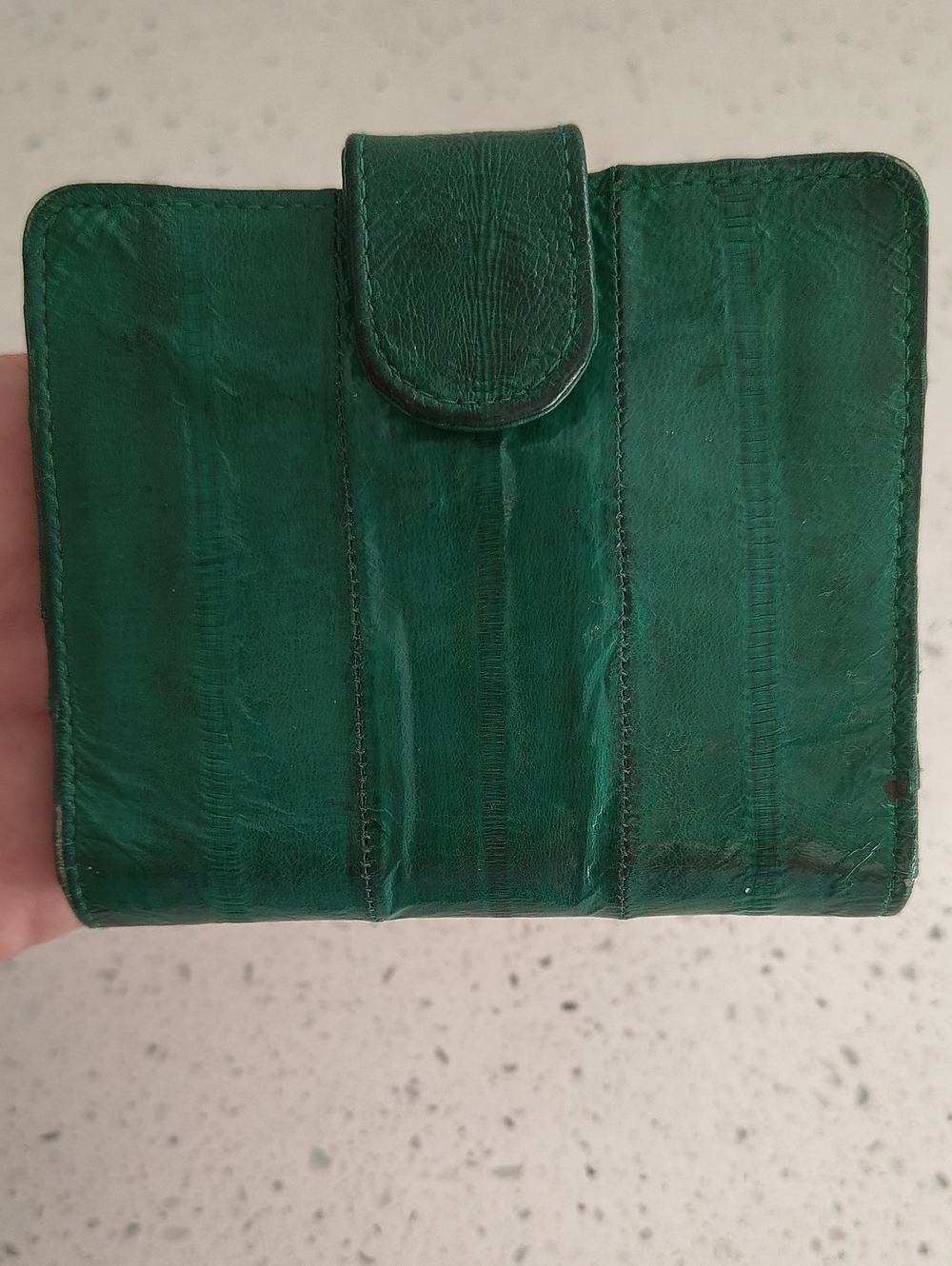 Green Eel Skin Snap Wallet
